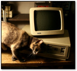 Benj's DEC Rainbow 100 with a cat on his workbench.