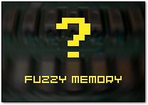 Fuzzy Memory