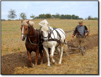 Agriculture